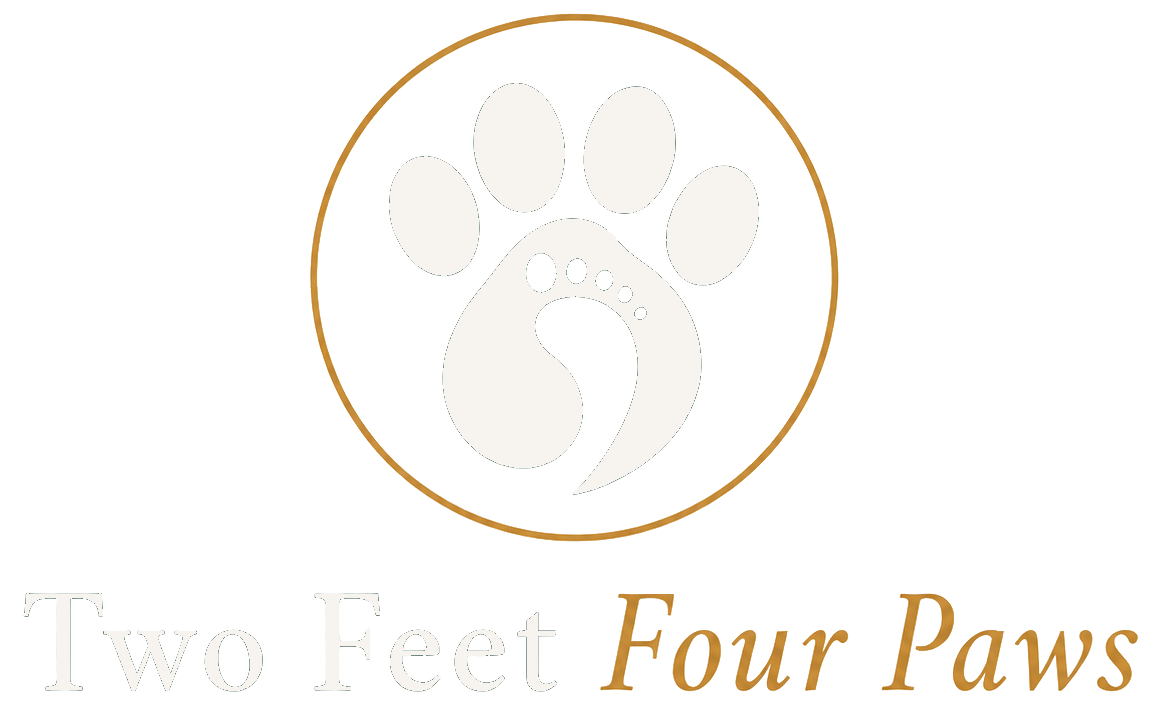 Two Feet Four Paws