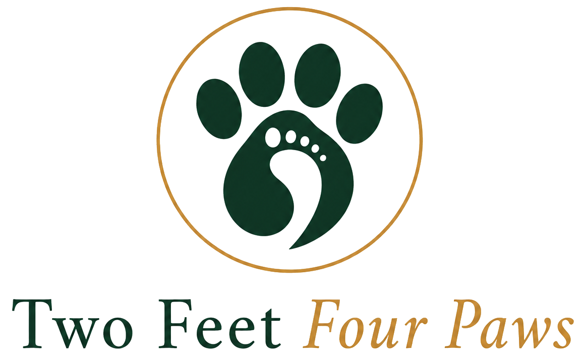 Two Feet Four Paws
